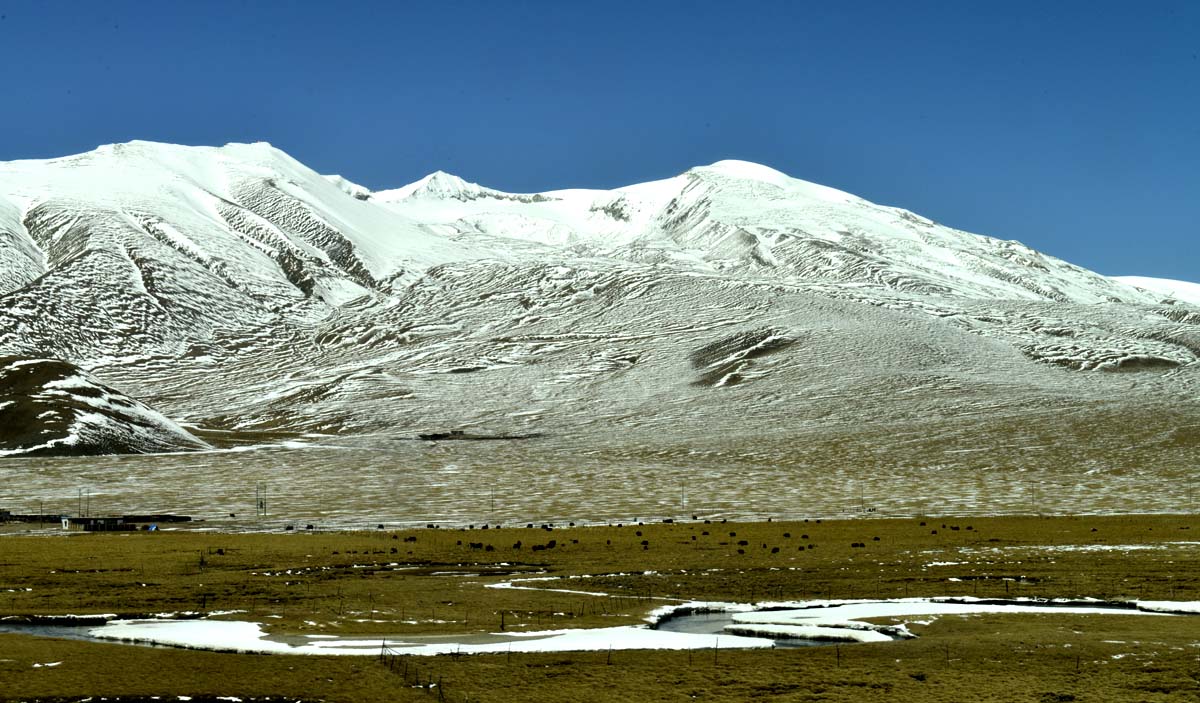 _DSC0327.JPG
