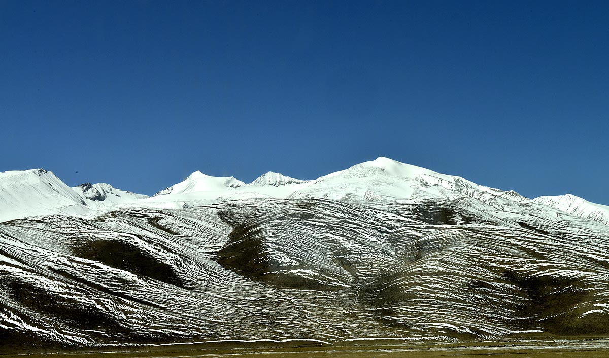 _DSC0335.JPG