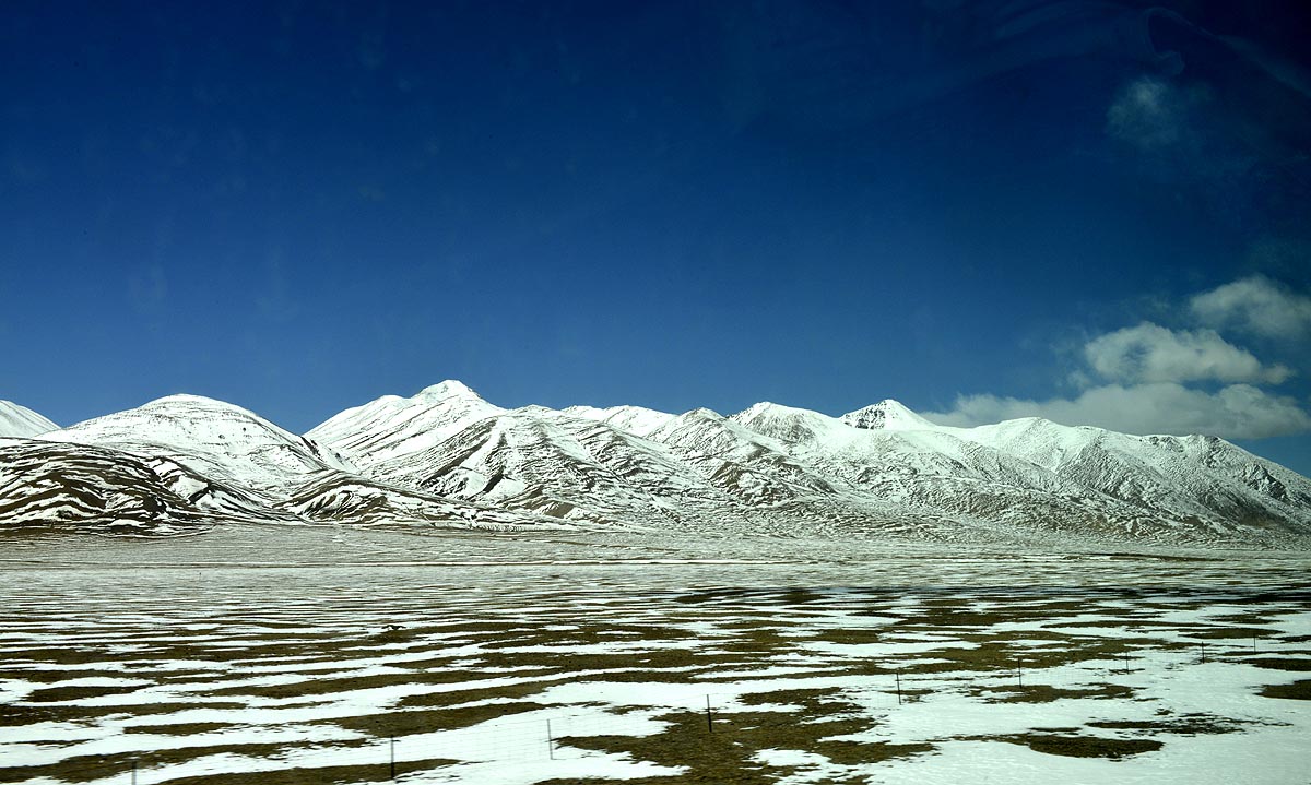 _DSC0341.JPG