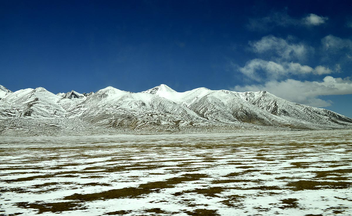 _DSC0343.JPG