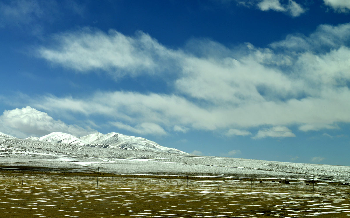 _DSC0350.JPG