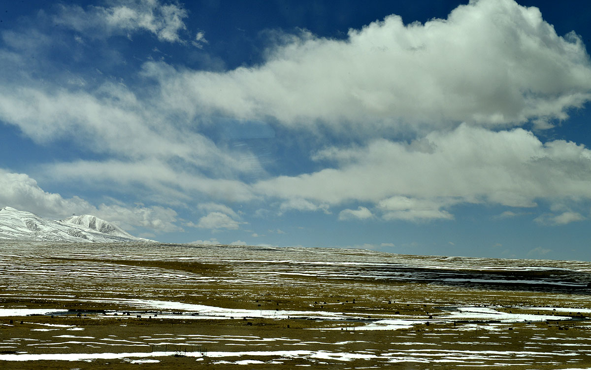 _DSC0360.JPG