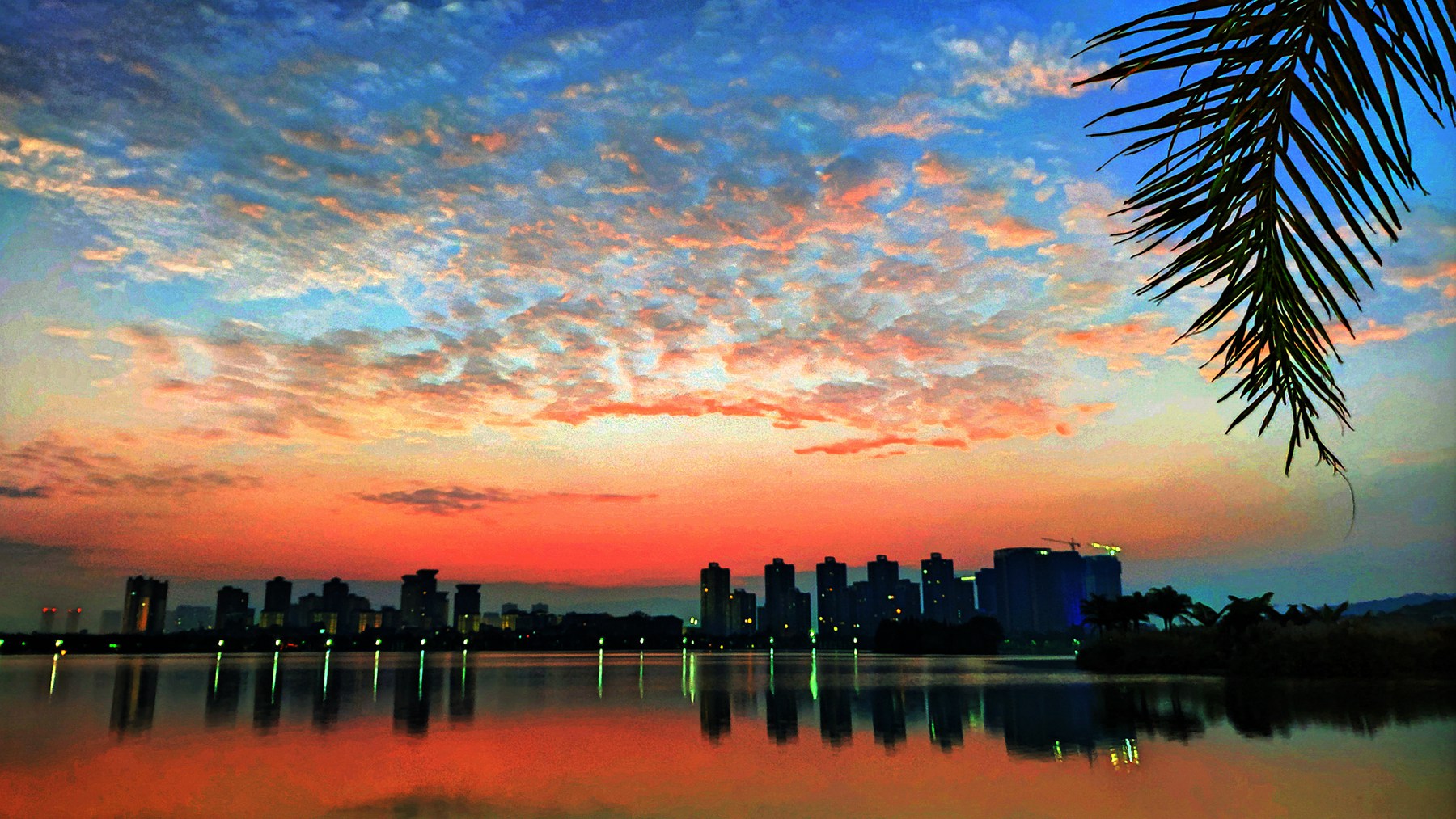 IMG_20211205_070516_副本_HZP.jpg