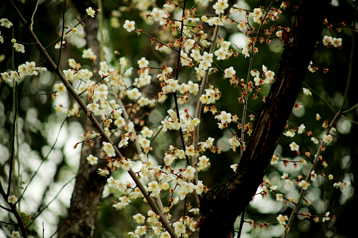 FU2A0022.JPG
