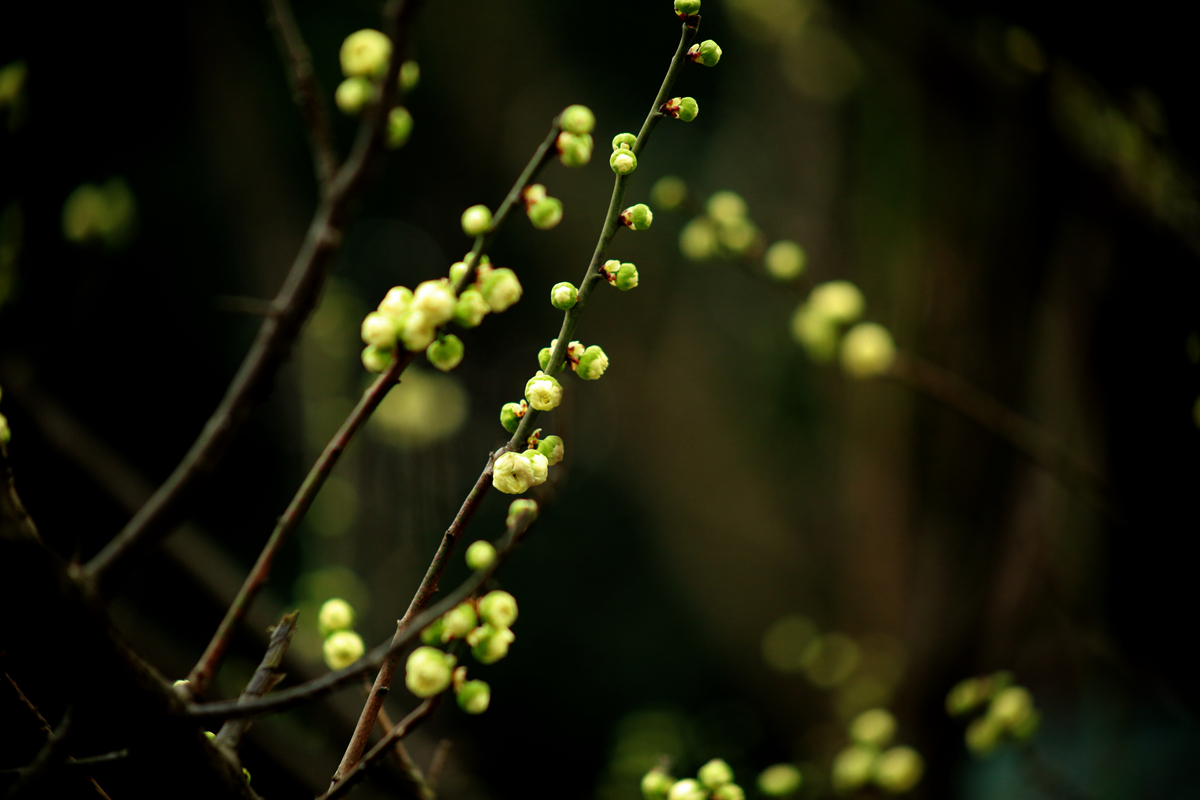 FU2A0019.JPG
