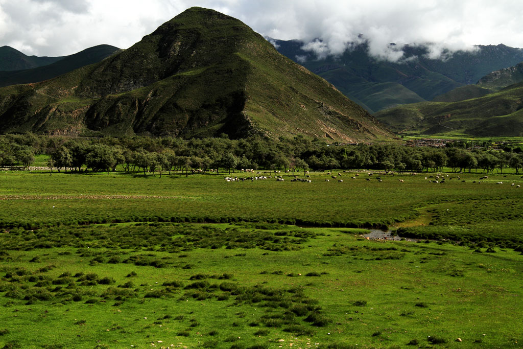 _MG_9767.JPG