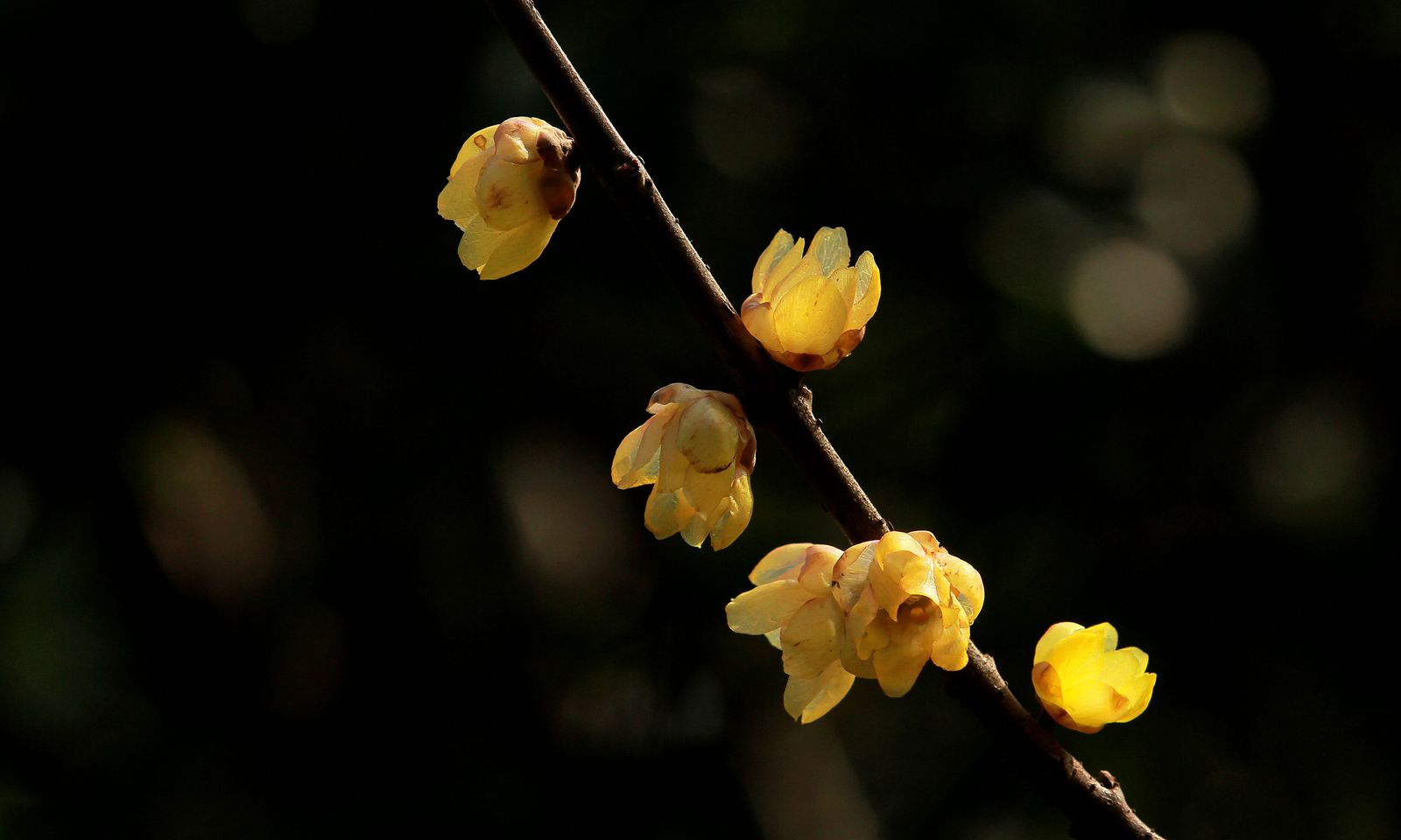 IMG_7244_副本.jpg