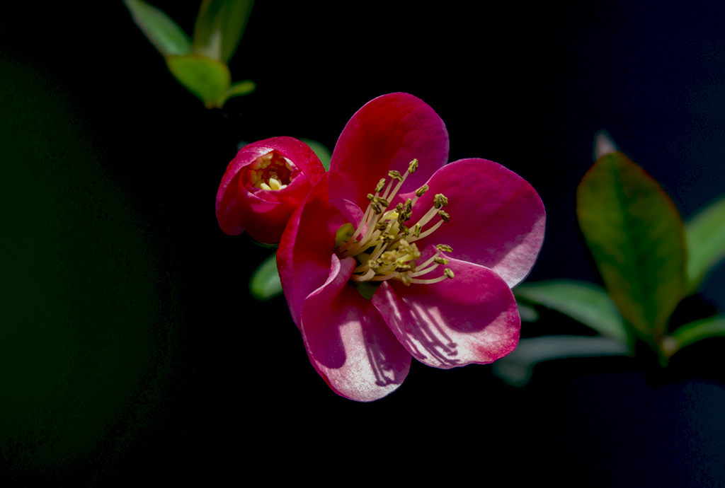IMGP4639副本.jpg