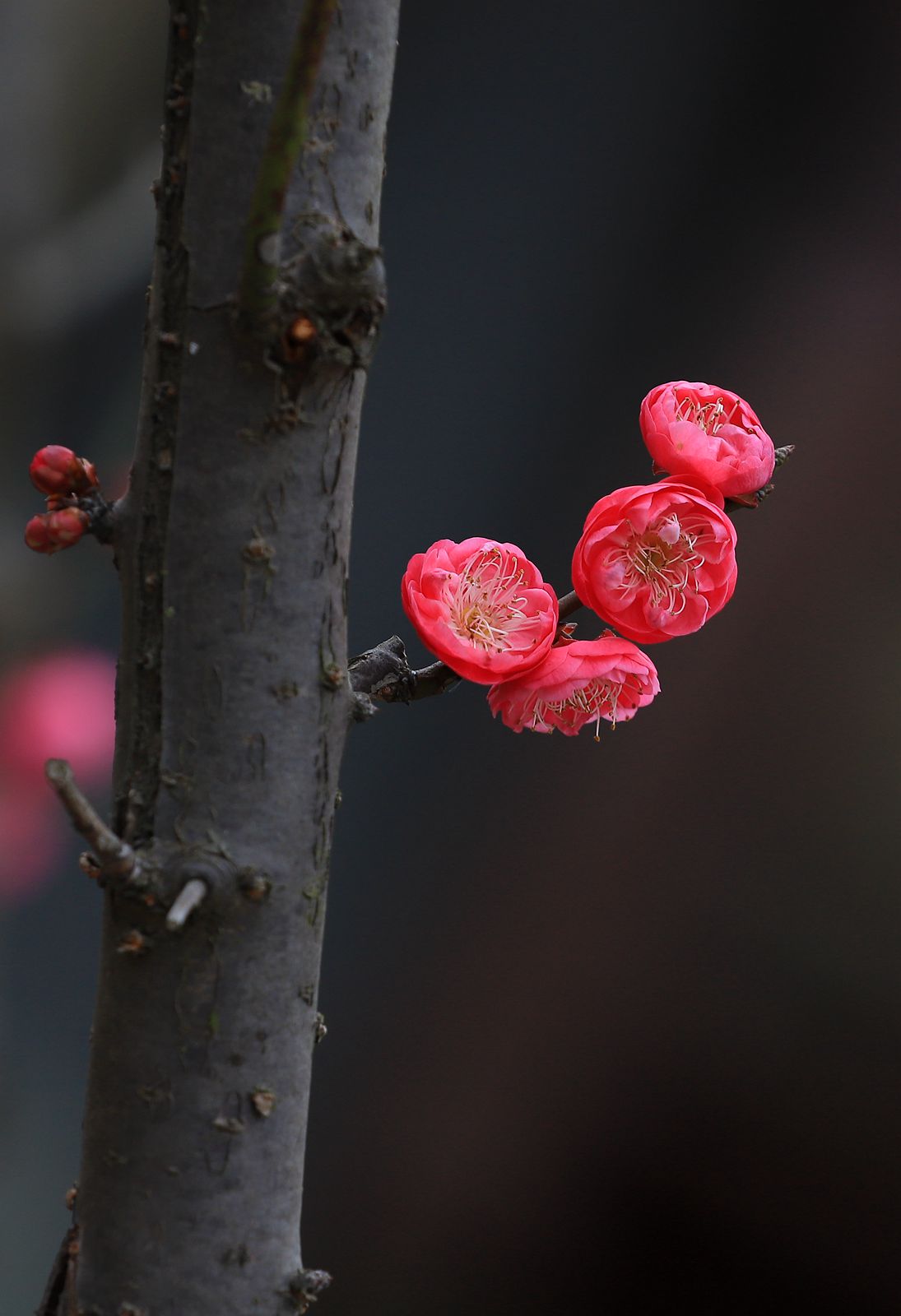 IMG_0165_副本.jpg