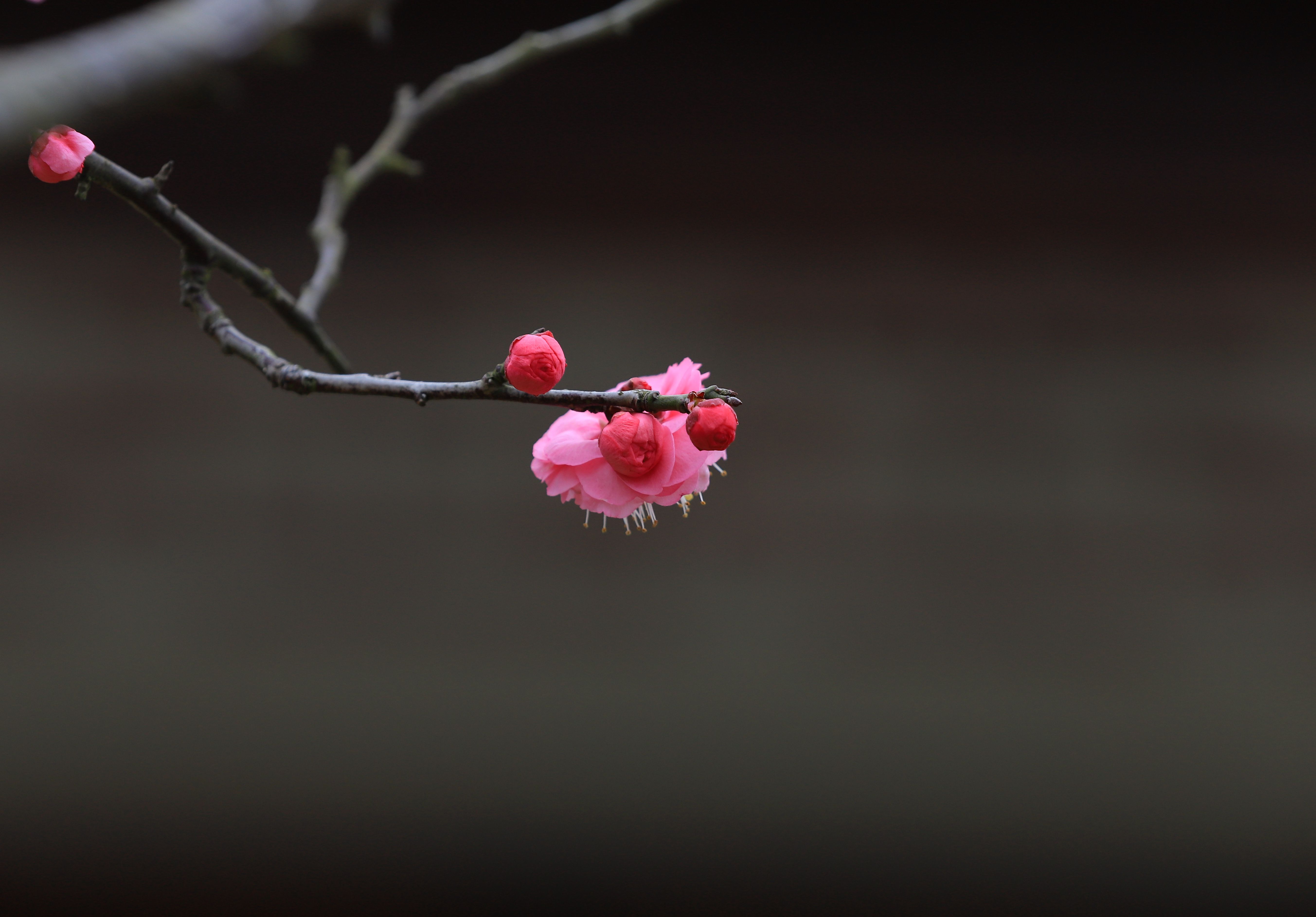 IMG_0172_副本.jpg