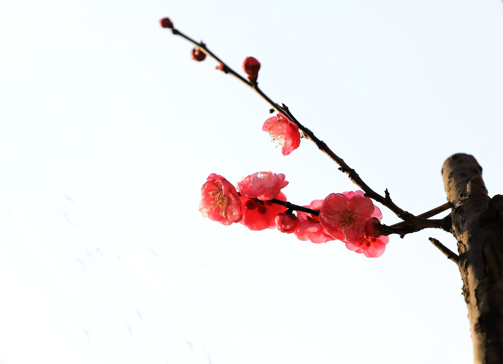IMG_9397_副本.jpg