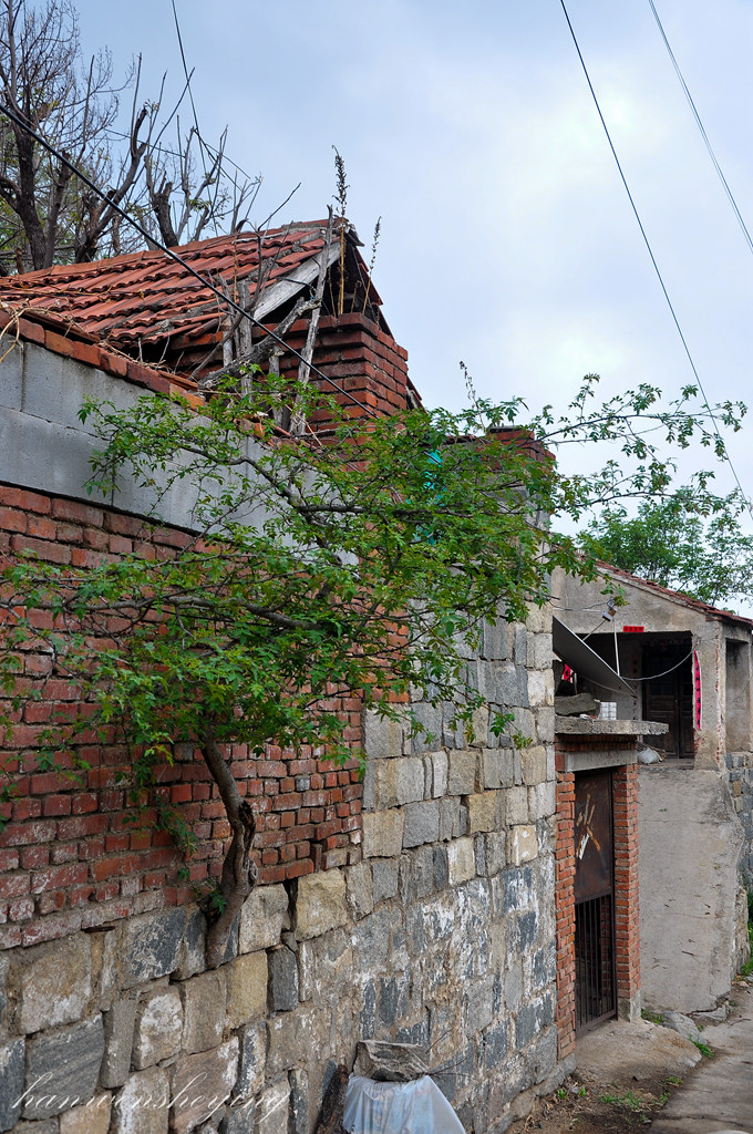 DSC_0027.JPG