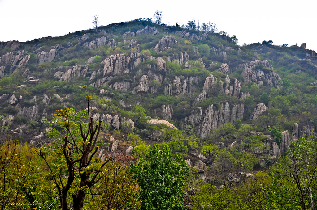DSC_0032.JPG