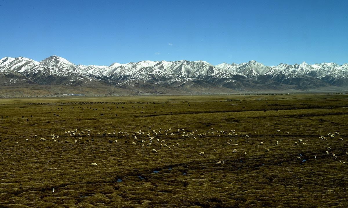 _DSC0278.JPG