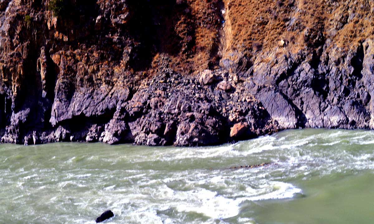 _DSC0372.JPG