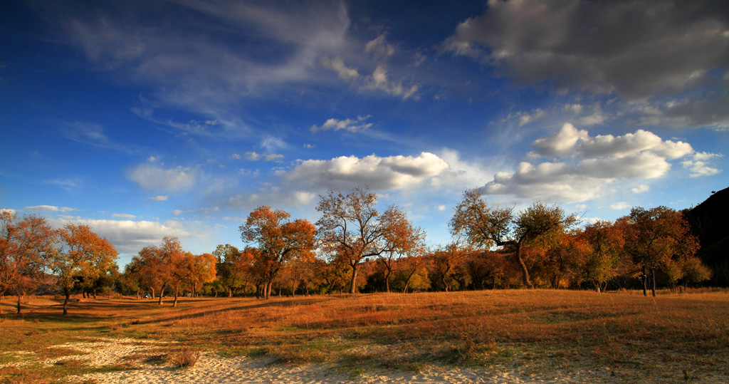 _MG_4517.JPG