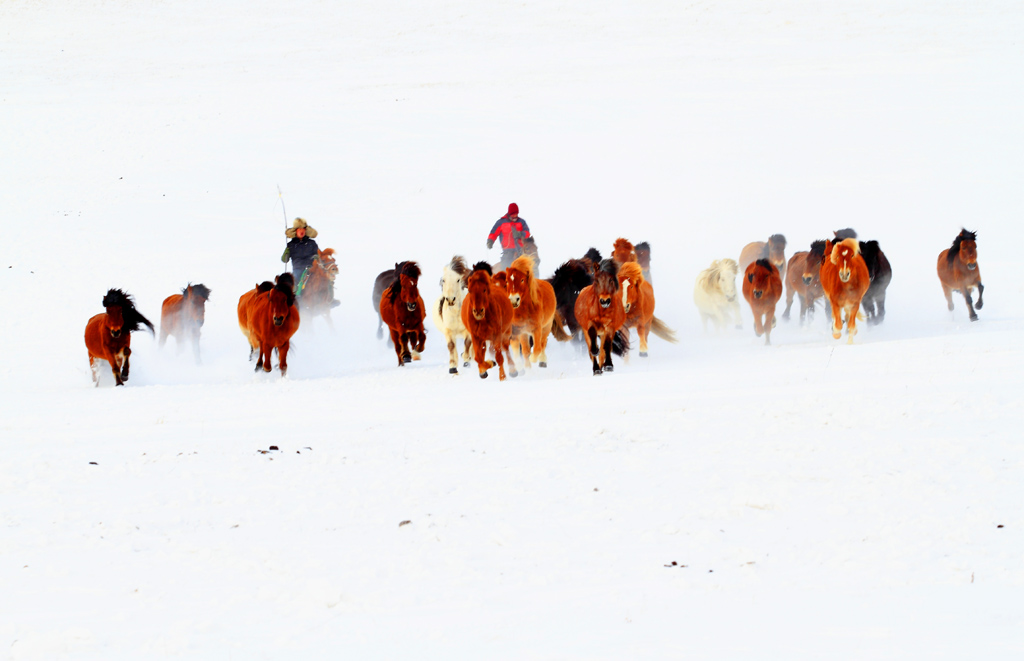 _MG_8027.JPG