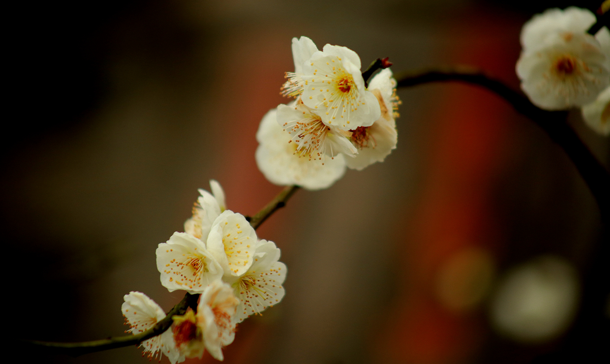 FU2A0029.JPG