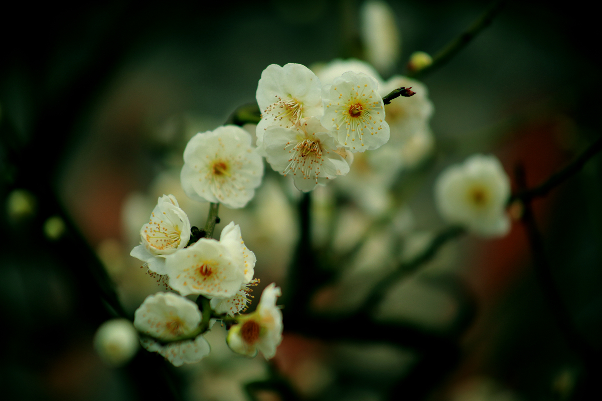 FU2A0032.JPG