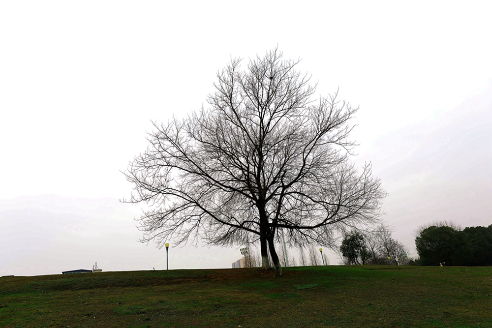 134A5176.JPG