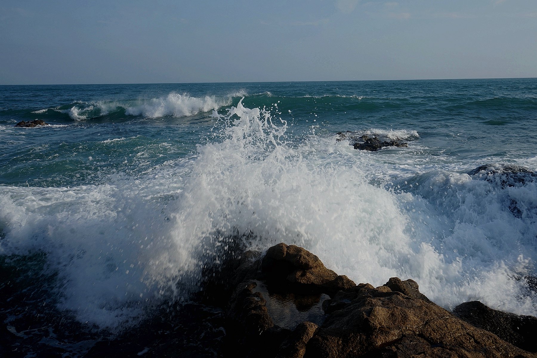 DSC01632_副本.jpg