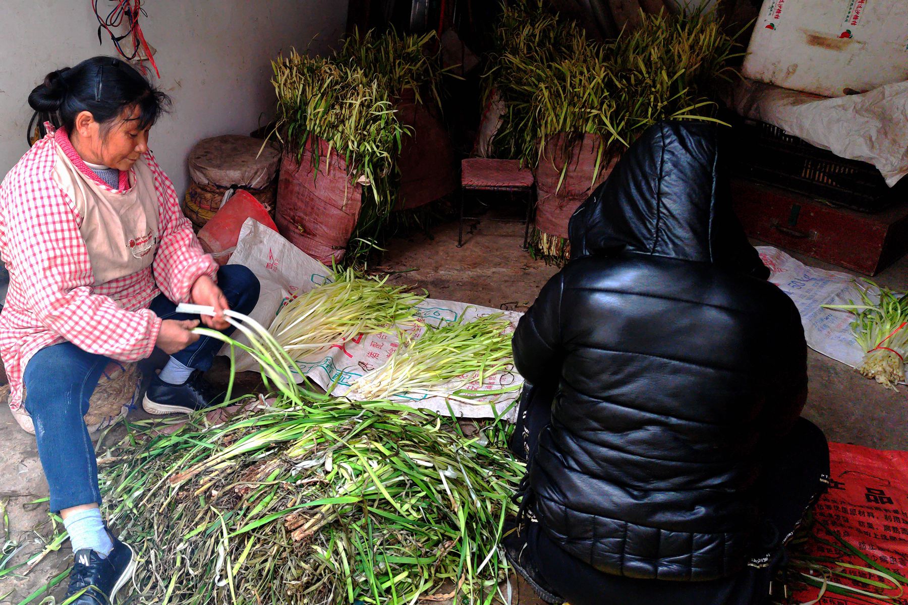 2－IMG_20211225_143437_副本.jpg