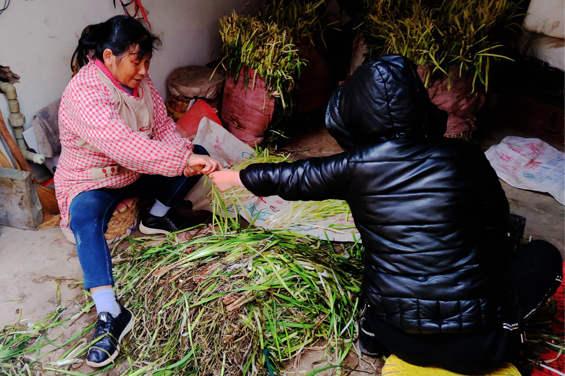 3－IMG_20211225_143435_副本.jpg