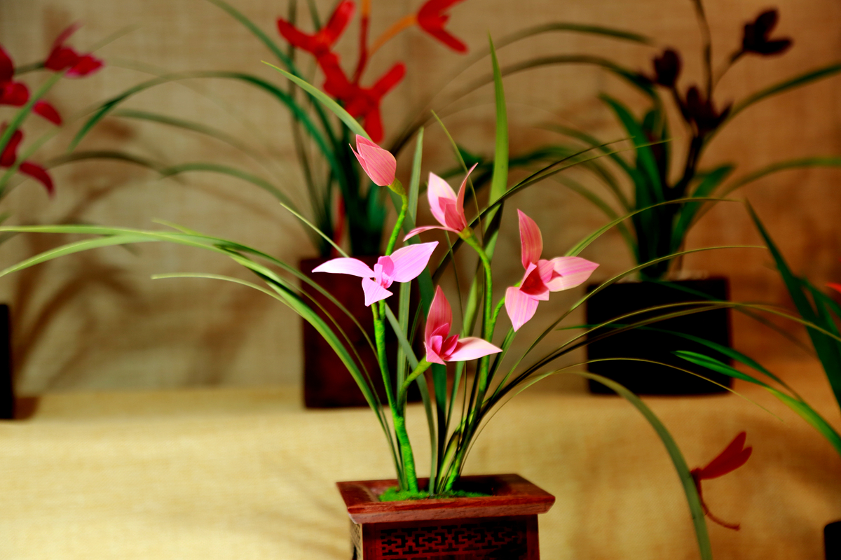 FU2A0254.JPG