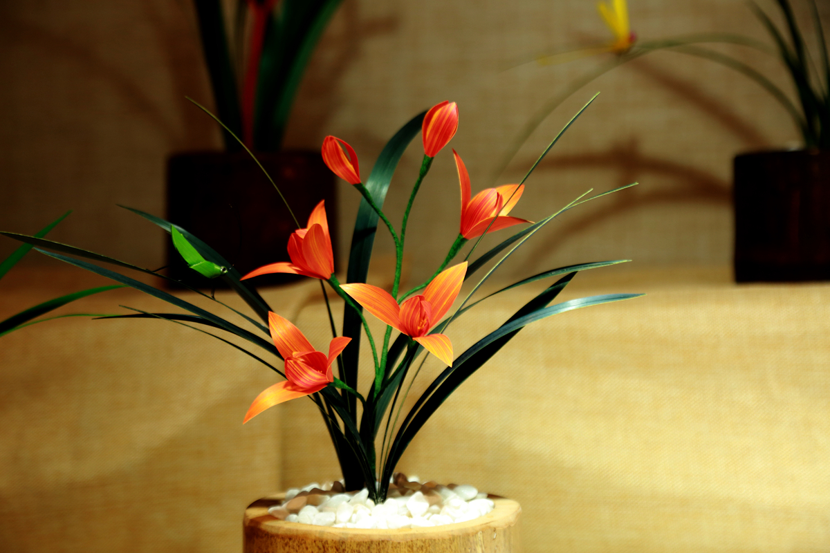 FU2A0255.JPG