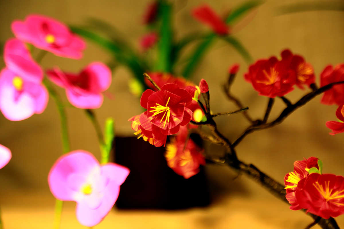 FU2A0262.JPG
