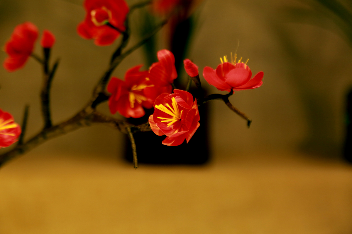 FU2A0261.JPG