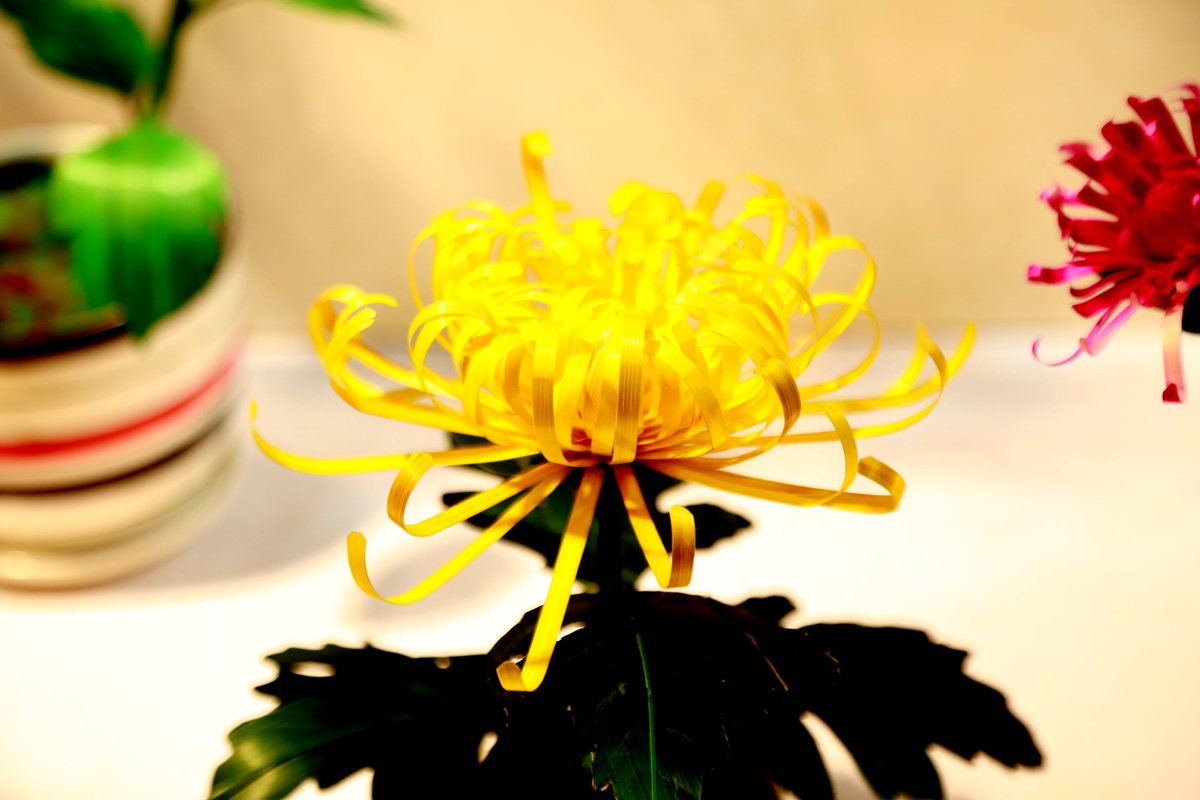 FU2A0271.JPG