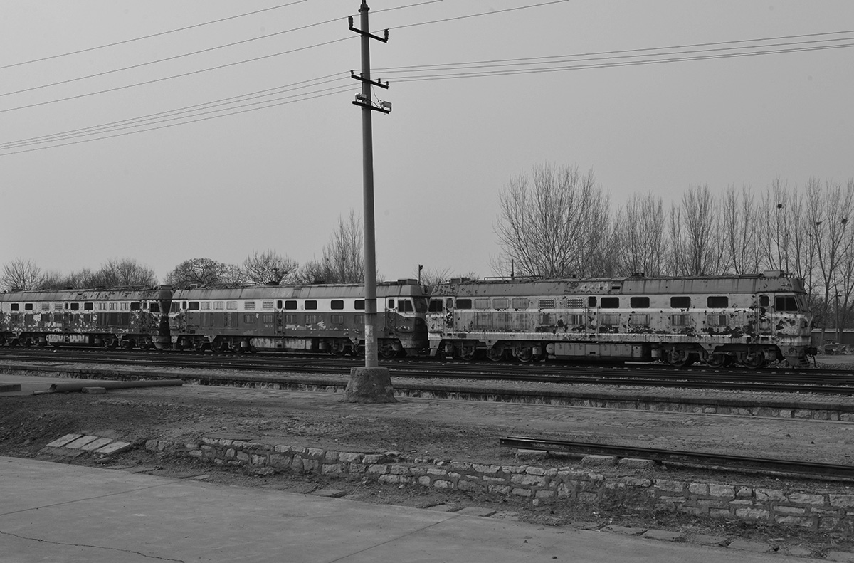 _DSC0066.JPG