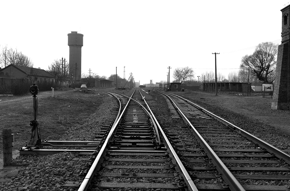 _DSC0113.JPG