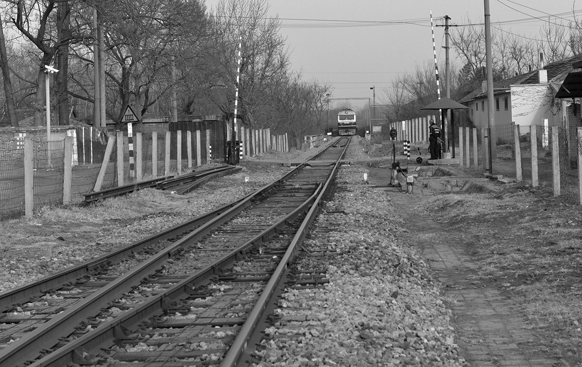 _DSC0114.JPG