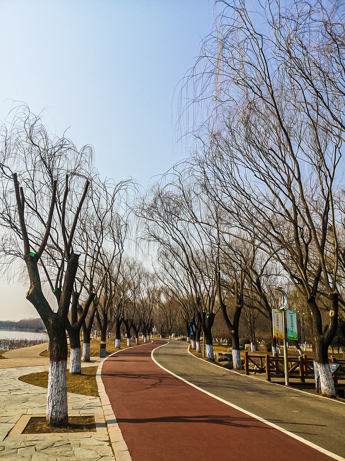 04.jpg