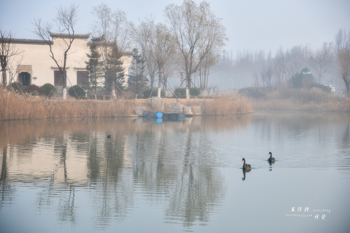 DSC_6420.JPG