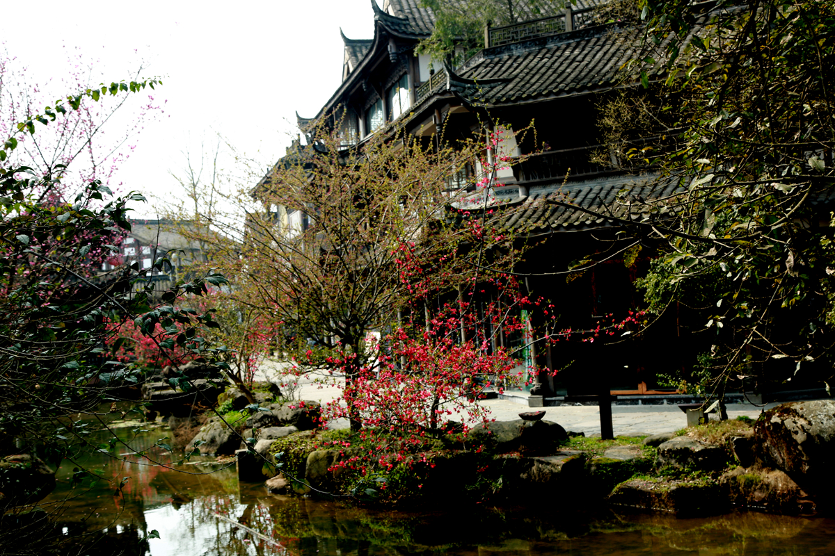 FU2A0103.JPG