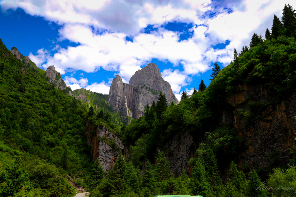 _MG_2590.JPG