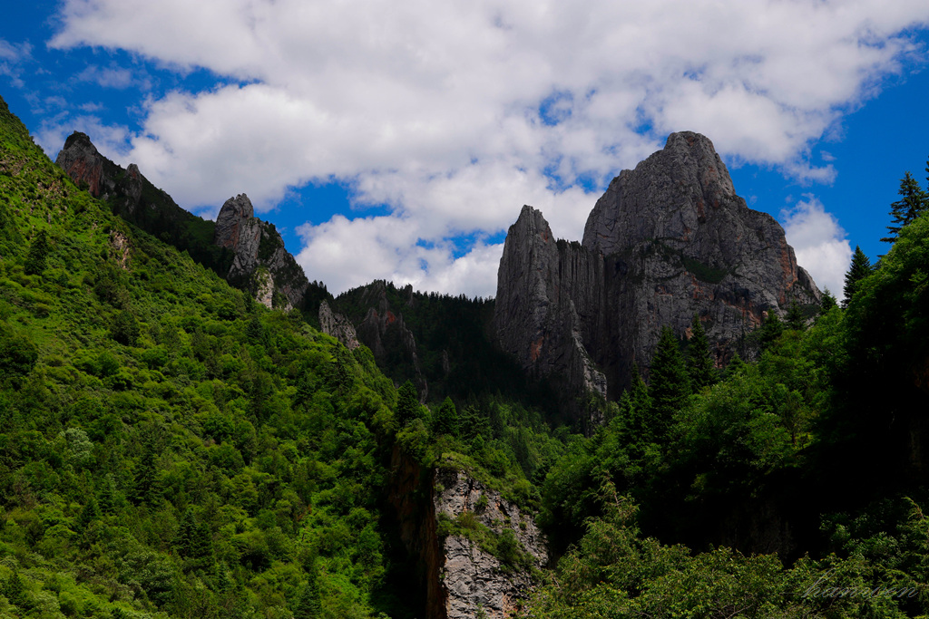 _MG_2589.JPG