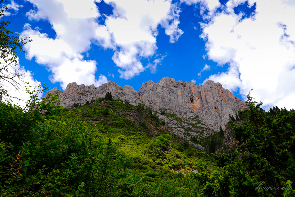 _MG_2591.JPG