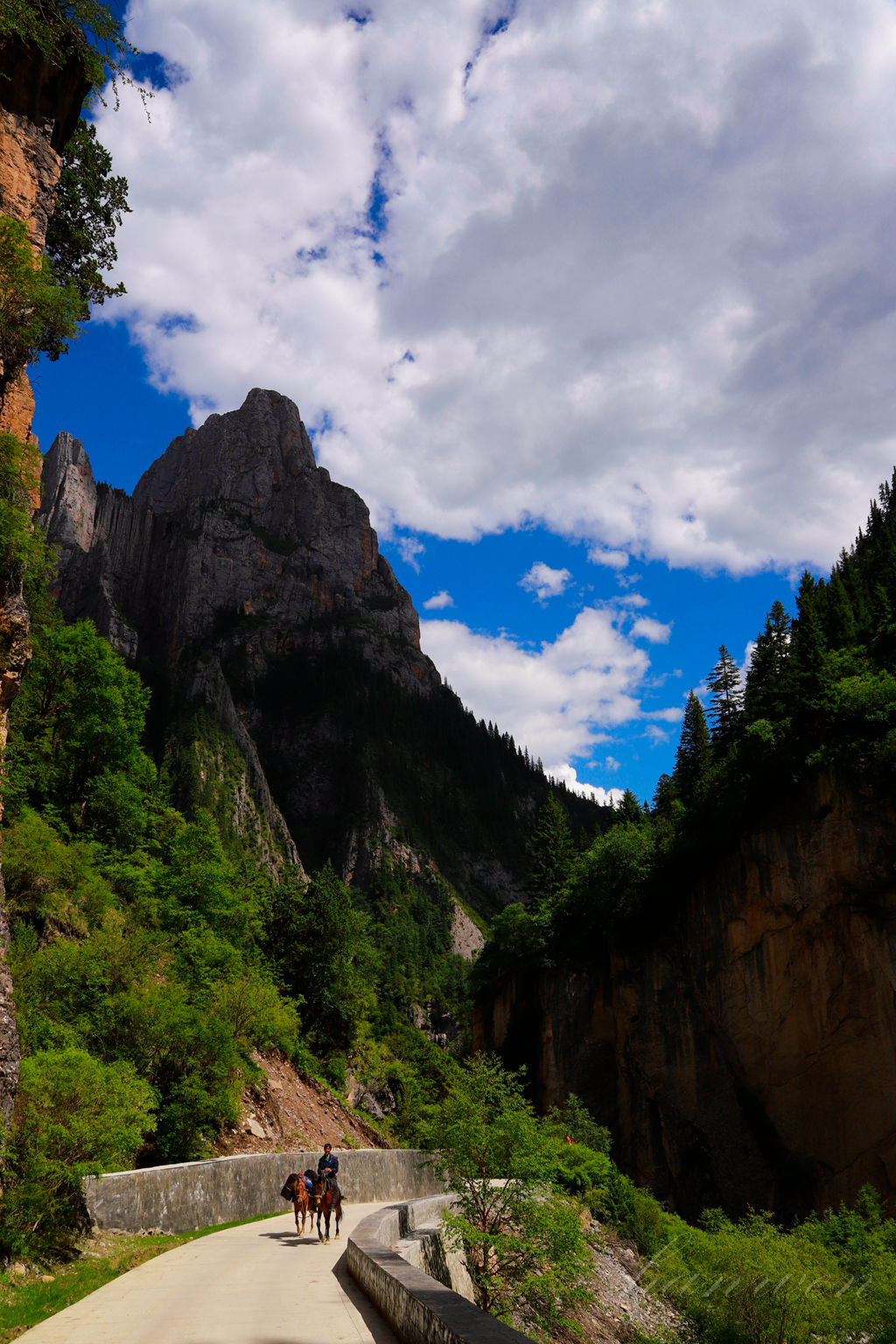 _MG_2595.JPG