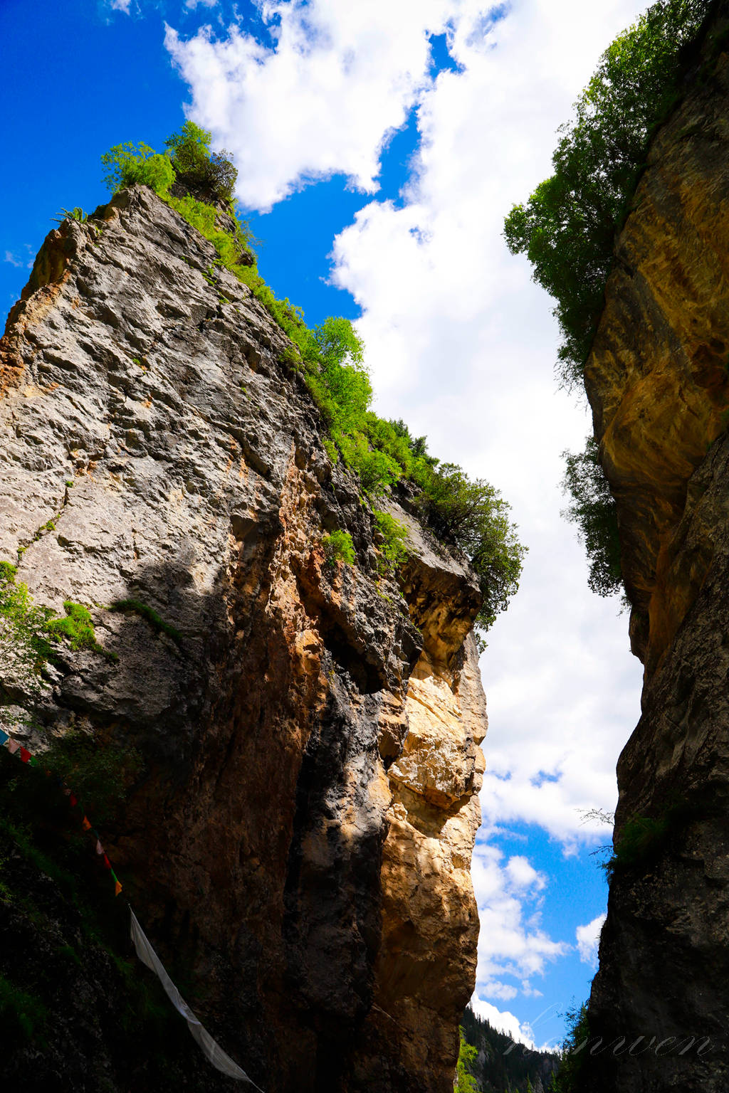 _MG_2594.JPG