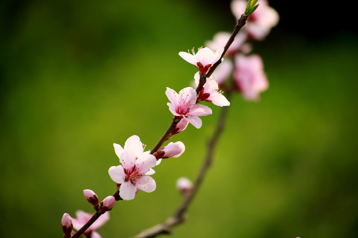 FU2A0048.JPG