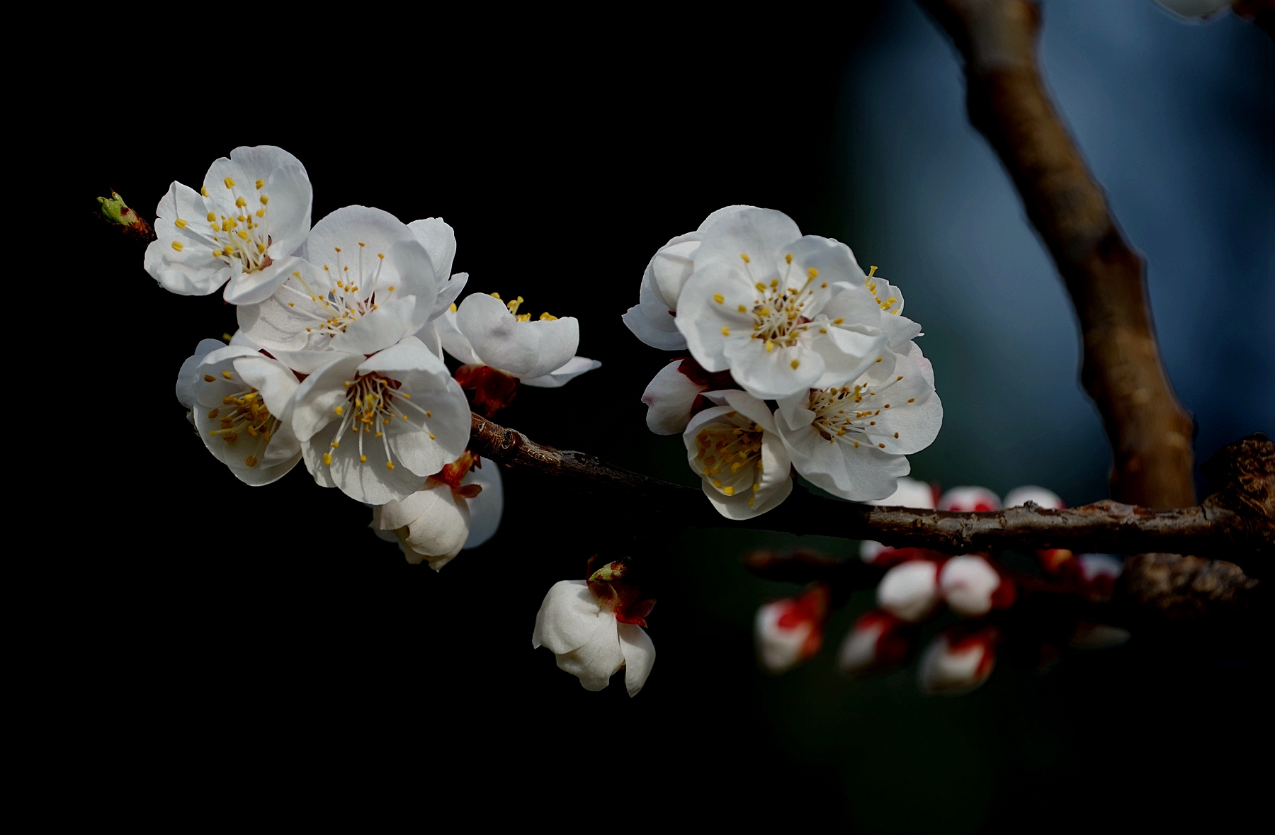 DSC02775_副本.jpg