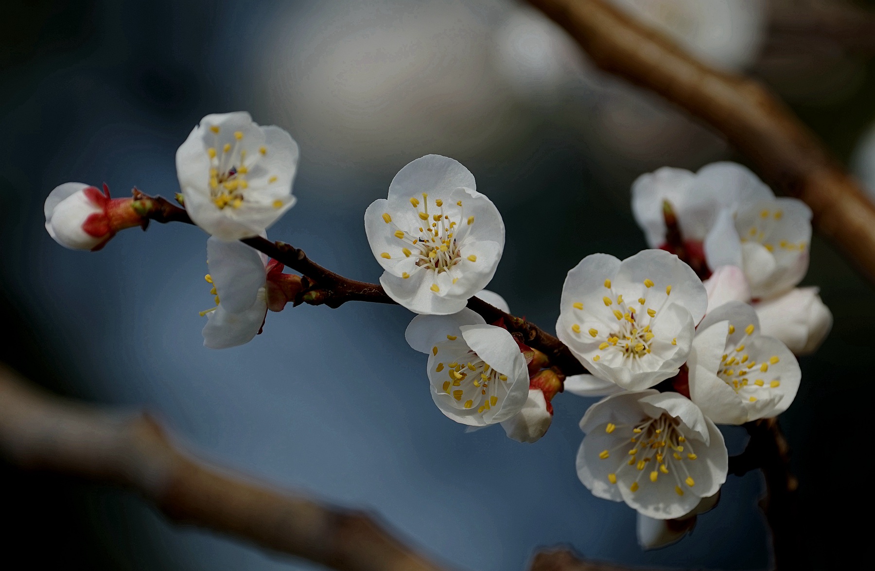 DSC02776_副本_副本.jpg
