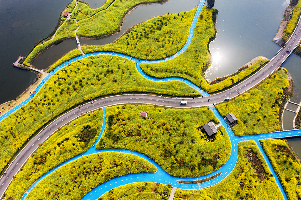 DJI_0220.jpg