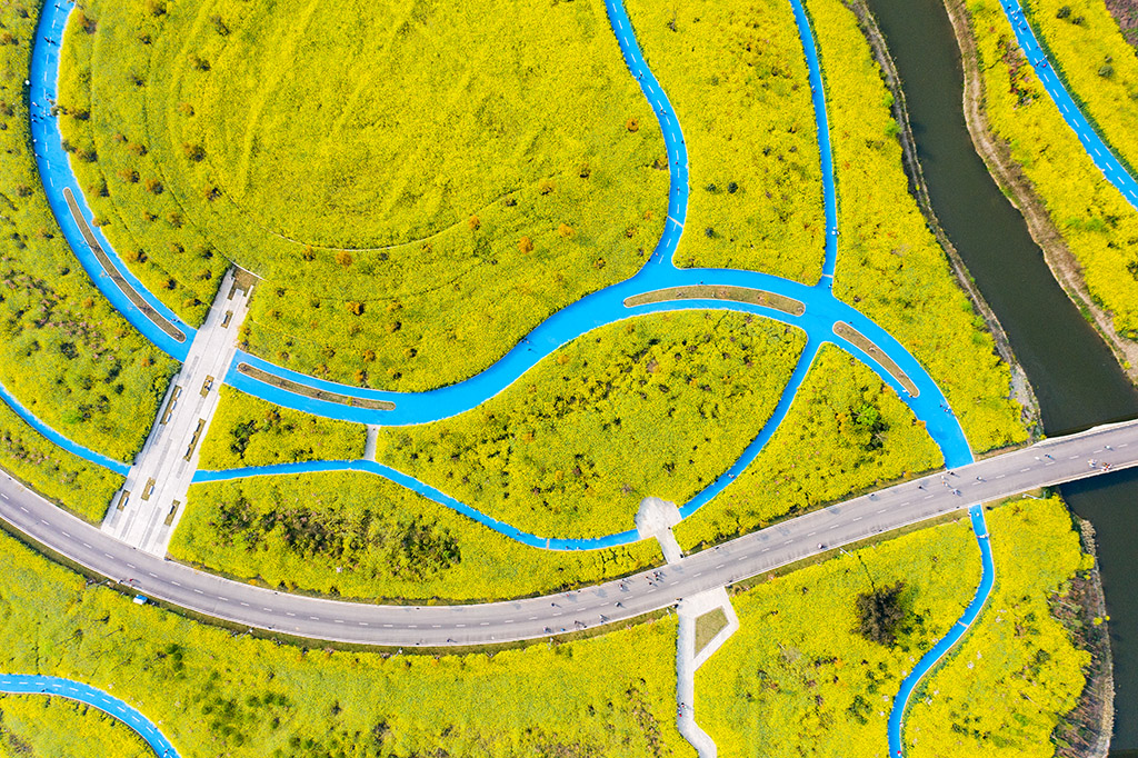 DJI_0191.jpg