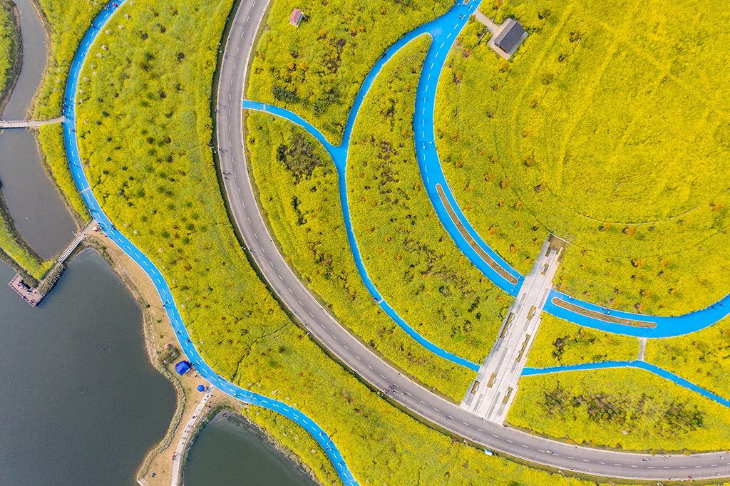DJI_0194.jpg