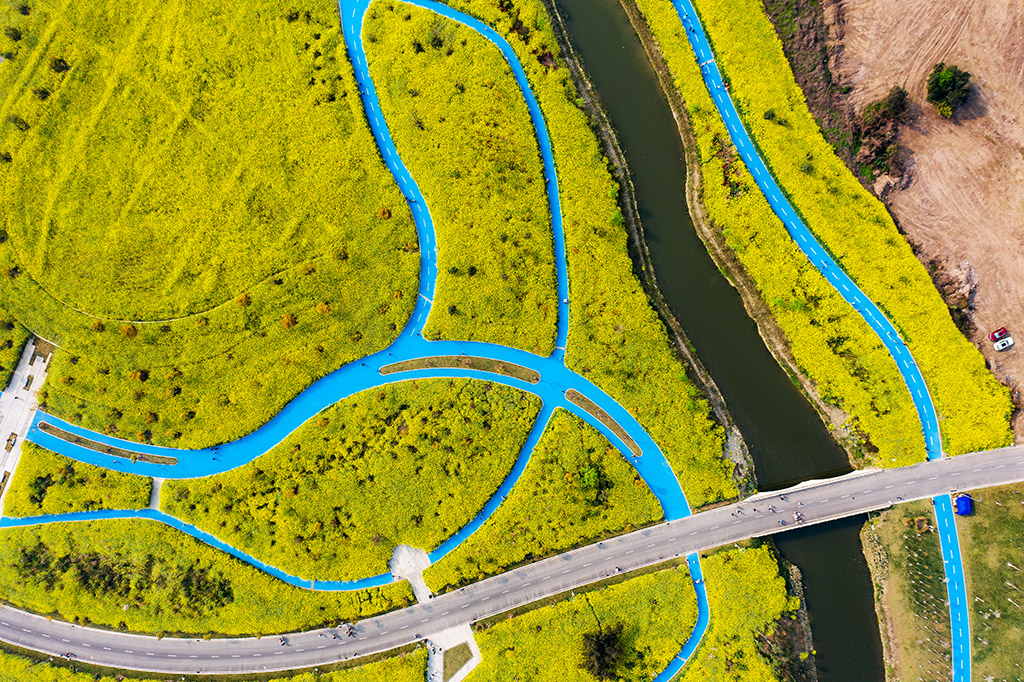 DJI_0193.jpg